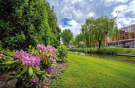 The valley channel at the valley pool by Albert Lamme