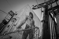 Los Angeles street art by Roel Beurskens thumbnail