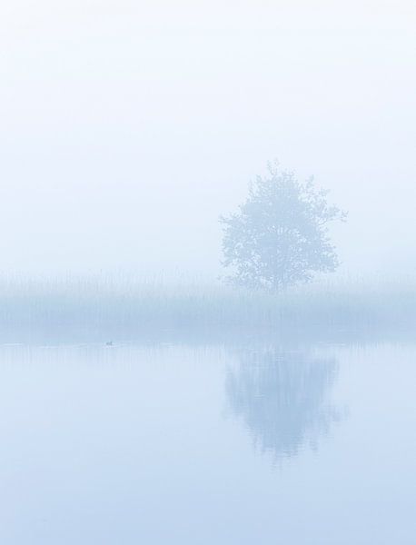 Foggy sunrise (Groningen) by Marcel Kerdijk