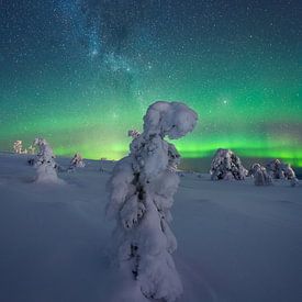 Fins Lapland Sterrenhemel en Noorderlicht van Vincent Fennis