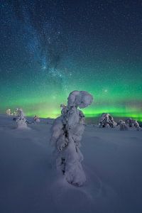 Ciel étoilé et aurores boréales de Laponie finlandaise sur Vincent Fennis