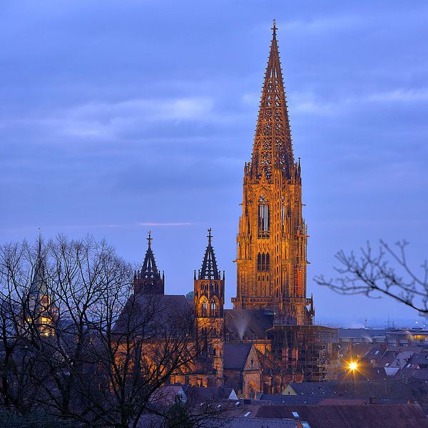 Freiburg Cathedral by Patrick Lohmüller