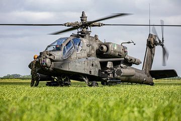 Apache in a meadow by Davy van Olst