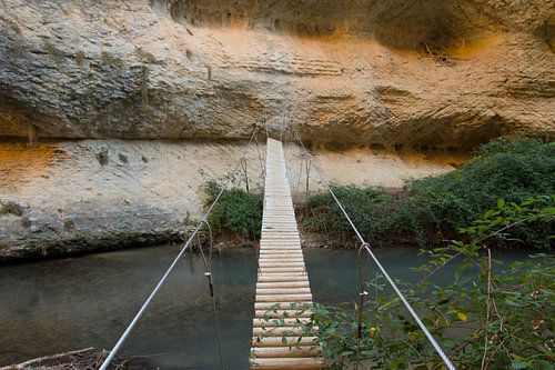 Le pont suspendu