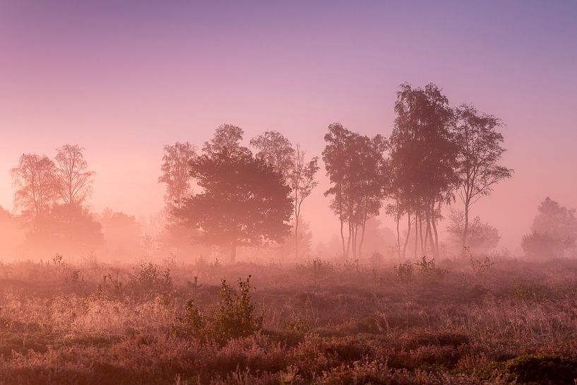 Mistig Nederlands heide landschap van Maarten Zeehandelaar