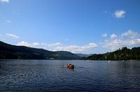 Sur le chemin de l'autre côté