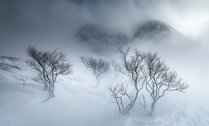 Winterzauber im Erwachen von fernlichtsicht