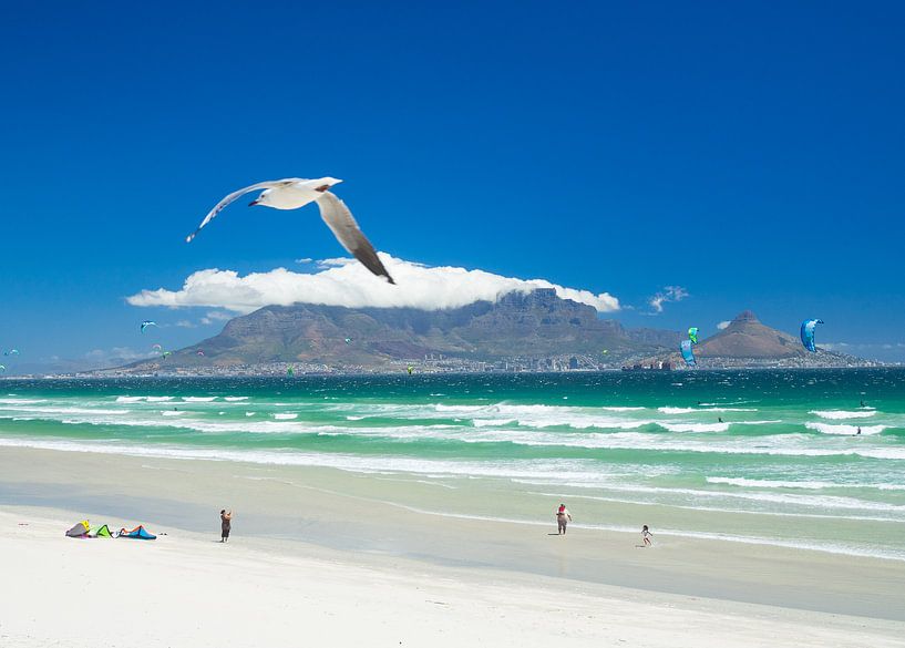 Meeuw en vliegers boven het strand van Bloubergstrand met Kaapstad en de tafelberg op de achtergrond van Teun Janssen