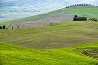 Toscane