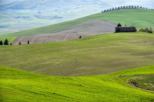 Toscane van Carla Vermeend