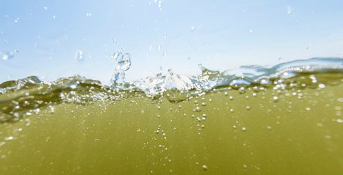 splash
