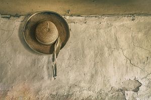 Chapeau de soleil sur un vieux mur