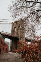 Brooklyn Bridge in autumn | Colorful travel photography