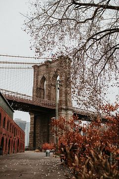 Le pont de Brooklyn en automne | Photographie de voyage colorée sur Trix Leeflang