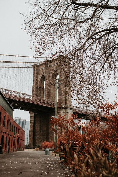 Brooklyn Bridge in autumn | Colorful travel photography by Trix Leeflang