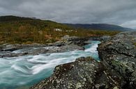 Chute d'eau à Jotunheimen par Menno Schaefer Aperçu