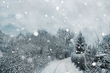 Snowy road through winter landscape by Dirk Wüstenhagen