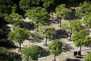 Symmetrie van bomen, Sevilla (Spanje) van Nick Hartemink