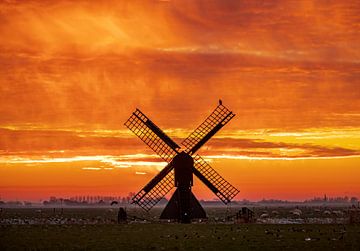 roter Himmel von Niels  de Vries