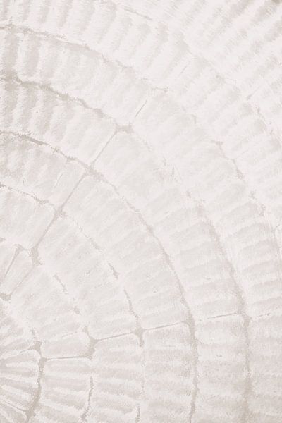 Muster plate_beige_2 von Pictufy Studio III