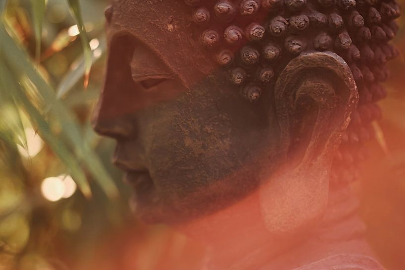 Buddha in the warm sunlight by stewic_