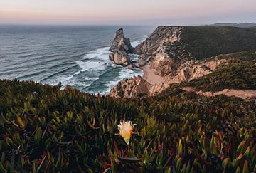 Praia da Ursa sur Michiel Dros