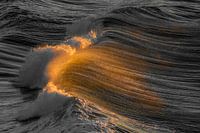 Liquid Gold - Der Tanz der Wellen