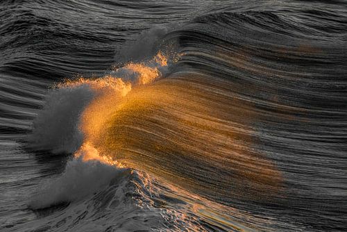 Vloeibaar Goud - De Dans van de Golven