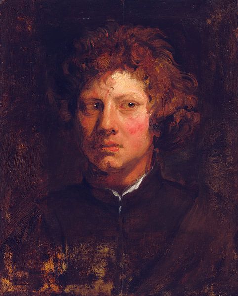 Anthony van Dyck, Kopf eines jungen Mannes, um 1618 von Atelier Liesjes