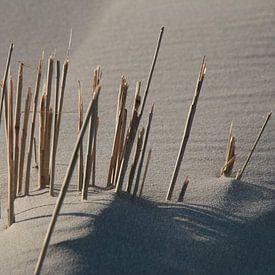 Stroh am Strand von Corinna Vollertsen