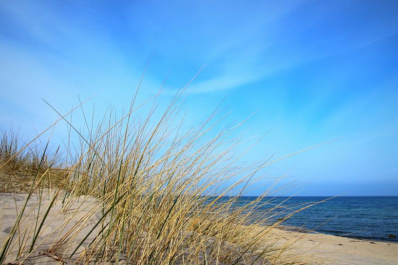 dunes by Ostsee Bilder