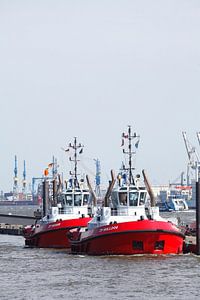 Schlepper-Station im Hafen, Altona, Hamburg, Norddeutschland, Europa