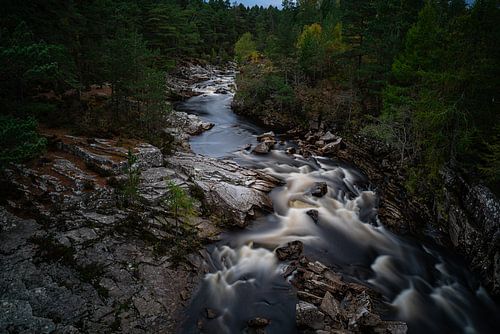 Black water trail von Stefan Havadi-Nagy