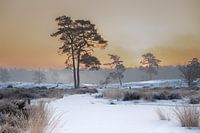 Winterwunderland