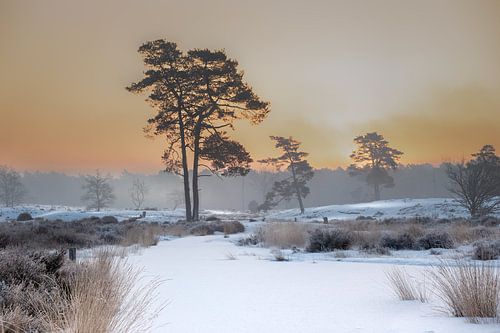 Winter Wonderland van Gerard Stasse Fotografie