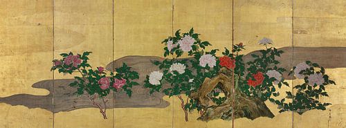 Pioenen, Baisho Moronobu