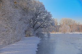 Frozen dysentery by Bernhard Kaiser