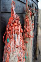 Catch me in color / Visnetten