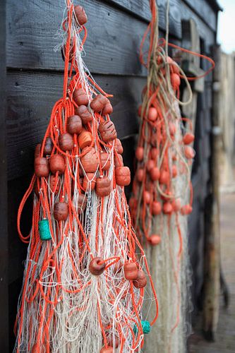 Catch me in color / Visnetten