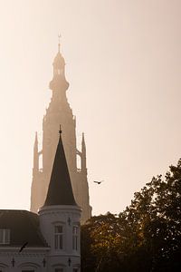 Morgenlicht auf der Grote Kerk in Breda