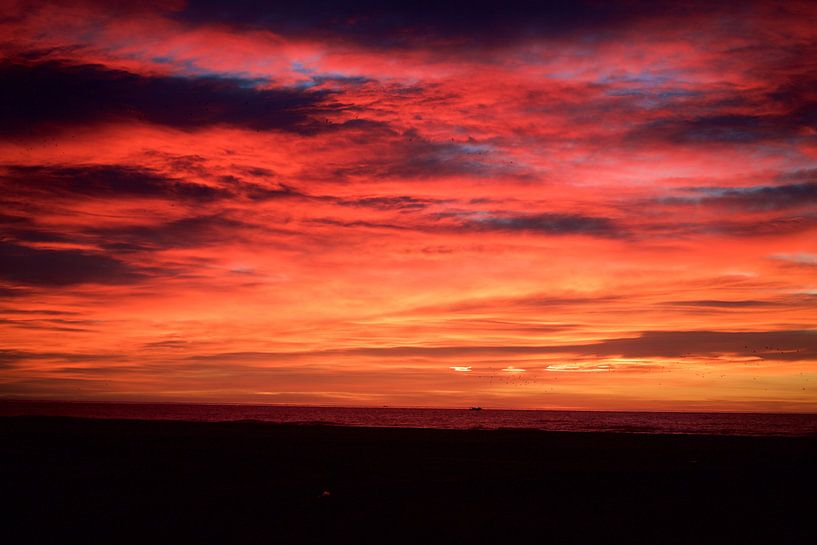 zonsondergang van marijke servaes