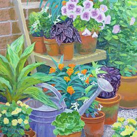 Pots sur William Ireland