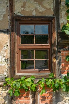 Een raam in een vakwerkhuis van Claudia Evans