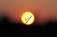 Zonsondergang.