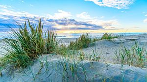 Série Plages hollandaises 2026 - 12