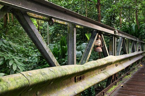 Alte Brücke im Busch. von Mark Nieuwkoop