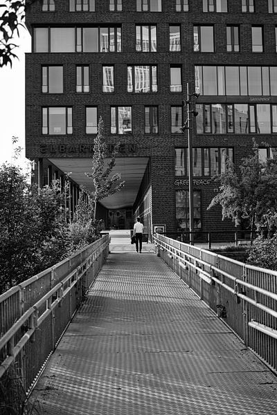 On account of new people. by Elbkind89