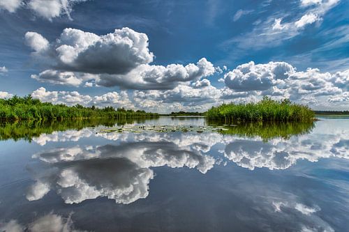 Reflection of clouds in lake called Ankeveense Plassen.