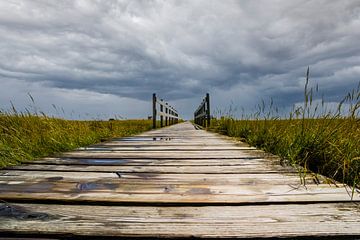 Holzbrücke über die Nordsee bei bewölktem Himmel von Animaflora PicsStock