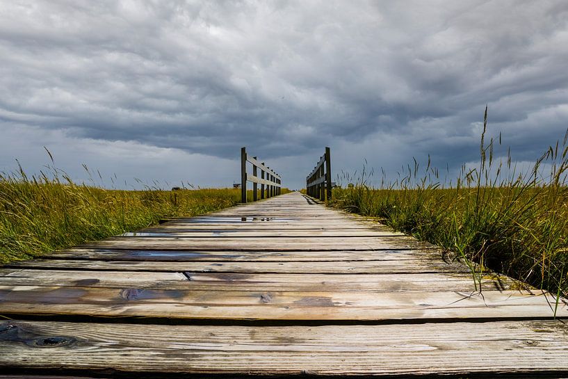 Pont en bois sur la mer du Nord par temps nuageux par Animaflora PicsStock